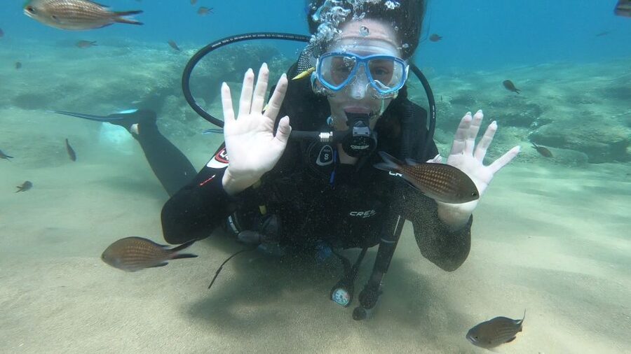 Heraklion: Beginner Scuba Diving Lesson with PADI Instructor - What you may see below the surface