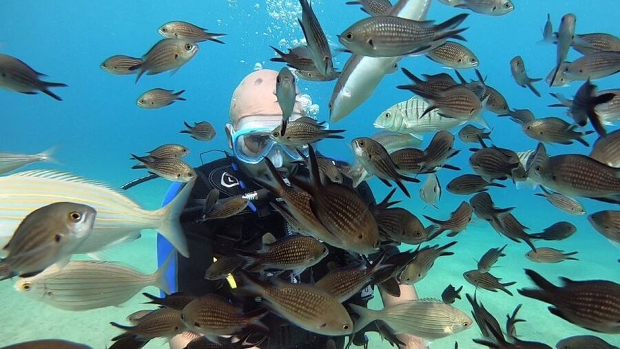 Heraklion: Beginner Scuba Diving Lesson with PADI Instructor - What the $88 price really covers