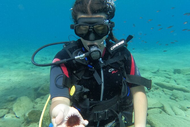 Heraklion: Scuba Diving Experience for Beginners - How the group size affects your time