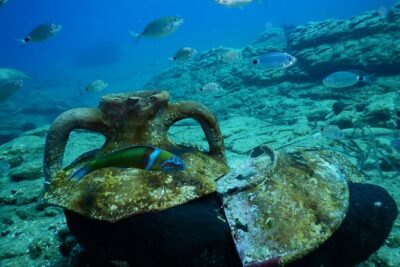Heraklion: Scuba Diving Experience for Beginners