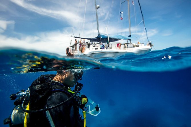 Heraklion: Scuba Diving Experience for First-Timers - Starting with a calm lesson, not a rushed plunge