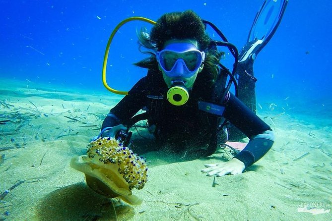 Heraklion: Scuba Diving Experience for First-Timers - The value of $82 per person