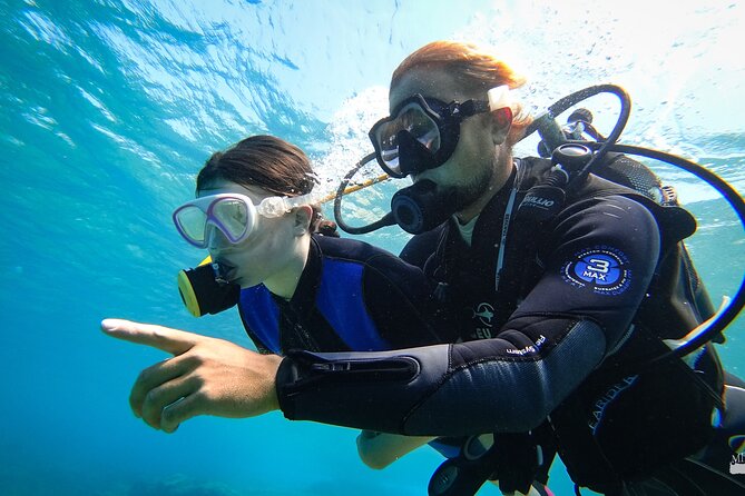 Heraklion: Scuba Diving Experience for First-Timers - Who will enjoy this most