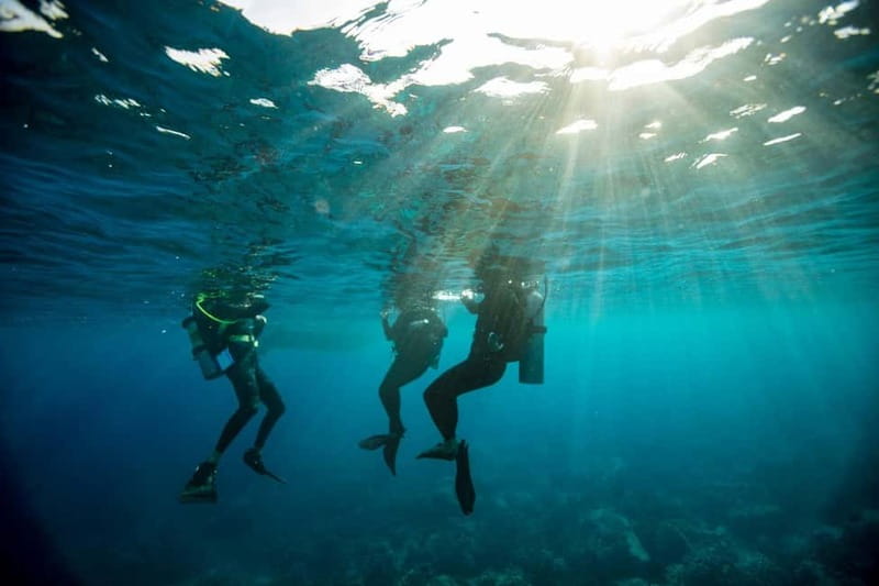 Heraklion: Try Scuba Diving - Hotel pickup across the Heraklion coast
