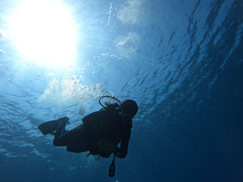 Heraklion: Try Scuba Diving For Beginners (1 dive) - Getting Comfortable With the Equipment