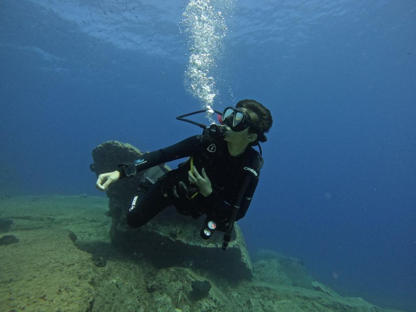 Heraklion: Try Scuba Diving For Beginners (1 dive) - The Underwater Experience in Clear Cretan Water