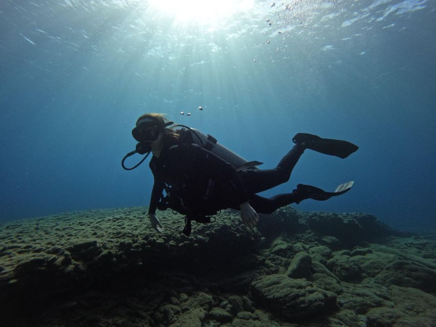 Heraklion: Try Scuba Diving For Beginners (1 dive) - What the $116 Price Covers