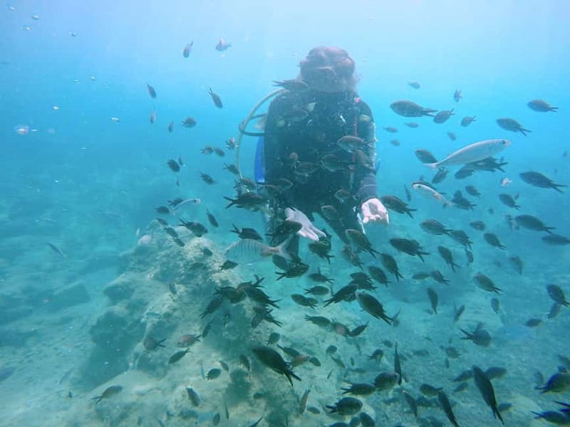 Hersonissos, Stalida: Scuba Diving Experience for beginners - Key points to know before booking