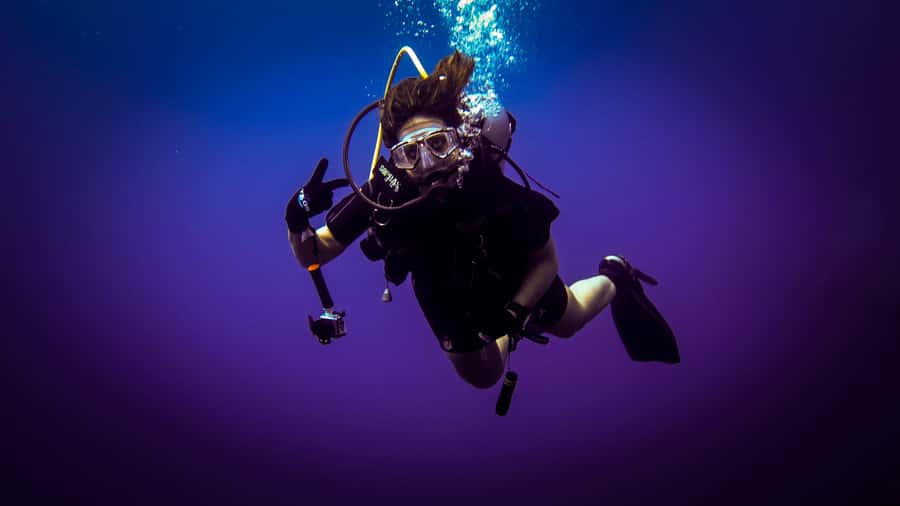 Hurghada: 1, 2, 3, 4, or, 5-Day Scuba Diving Package - From your Hurghada hotel to The Pure Coastal