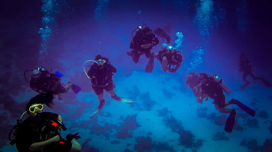 Hurghada: 1, 2, 3, 4, or, 5-Day Scuba Diving Package - One day or five days?