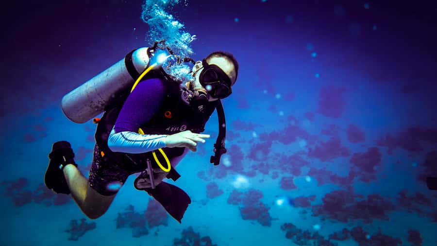 Hurghada: 1, 2, 3, 4, or, 5-Day Scuba Diving Package - Should you book this Red Sea scuba package?