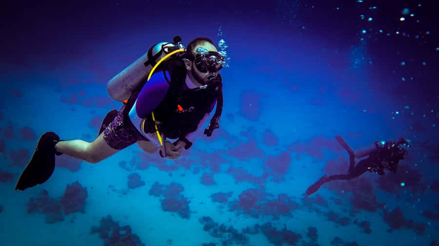 Hurghada: 1, 2, 3, 4, or, 5-Day Scuba Diving Package - Two reef sites, two 45-minute sessions