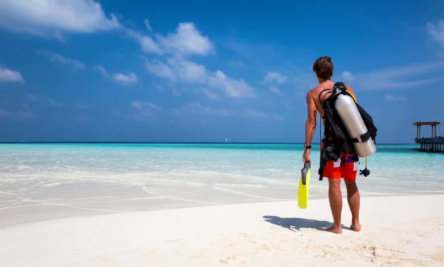 Hurghada: 1 day DIVING Refrechment, Check Dives and Dolphins - Key points to know before booking