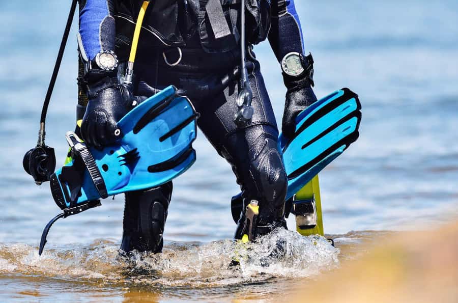 Hurghada: 1 day DIVING Refrechment, Check Dives and Dolphins - Getting your scuba skills back