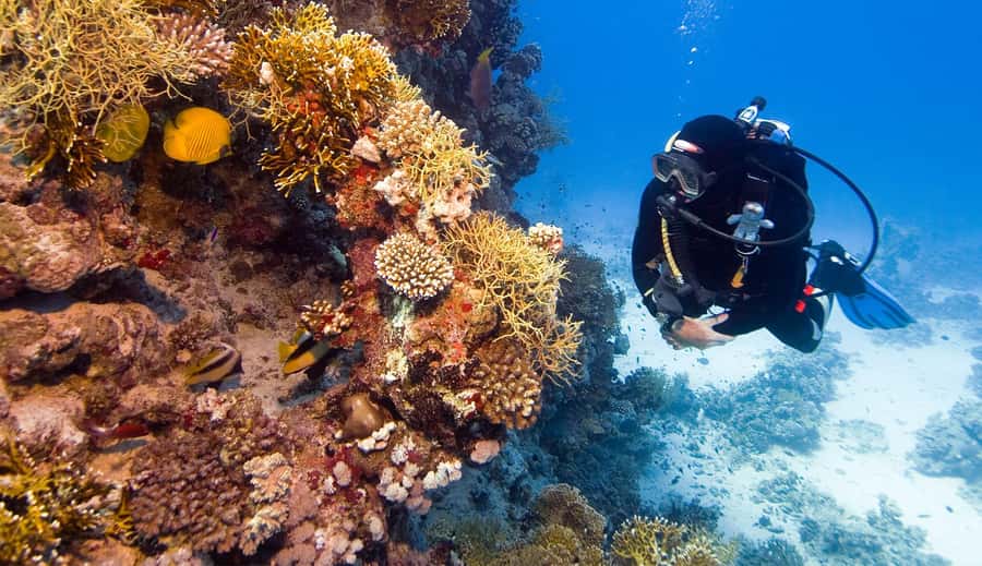 Hurghada: 3-Day PADI Open Water Diving Course - FAQ