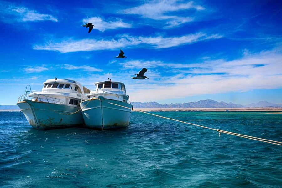 Hurghada: Beginners Scuba Diving Full-Day Boat Trip & Lunch - The first underwater session