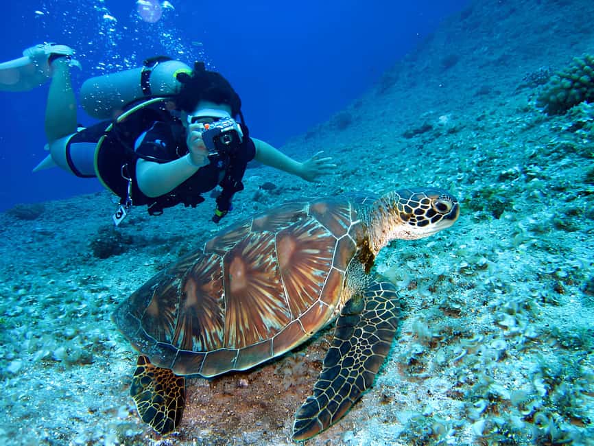 Hurghada: Beginners Scuba Diving Full-Day Boat Trip & Lunch - Lunch, hot drinks, and a day at sea
