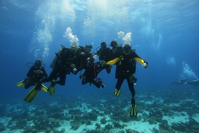 Hurghada Diving Adventure one Day with two Dives Boat Trip - Who will get the most from this day