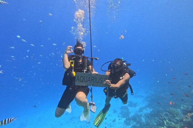 Hurghada Diving Adventure one Day with two Dives Boat Trip - How the $26.17 price compares in real value