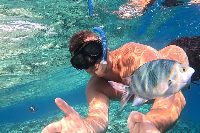 Hurghada Diving Adventure one Day with two Dives Boat Trip - The Red Sea setting and the value of a guided group
