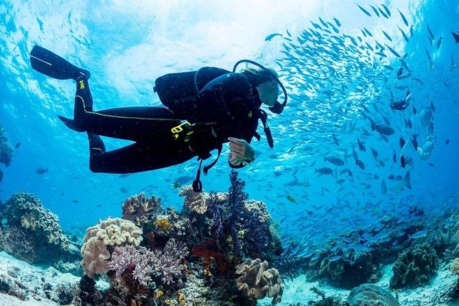 Hurghada: Full-Day Diving Tour with Lunch & Two Dive Sites - First underwater session: getting comfortable