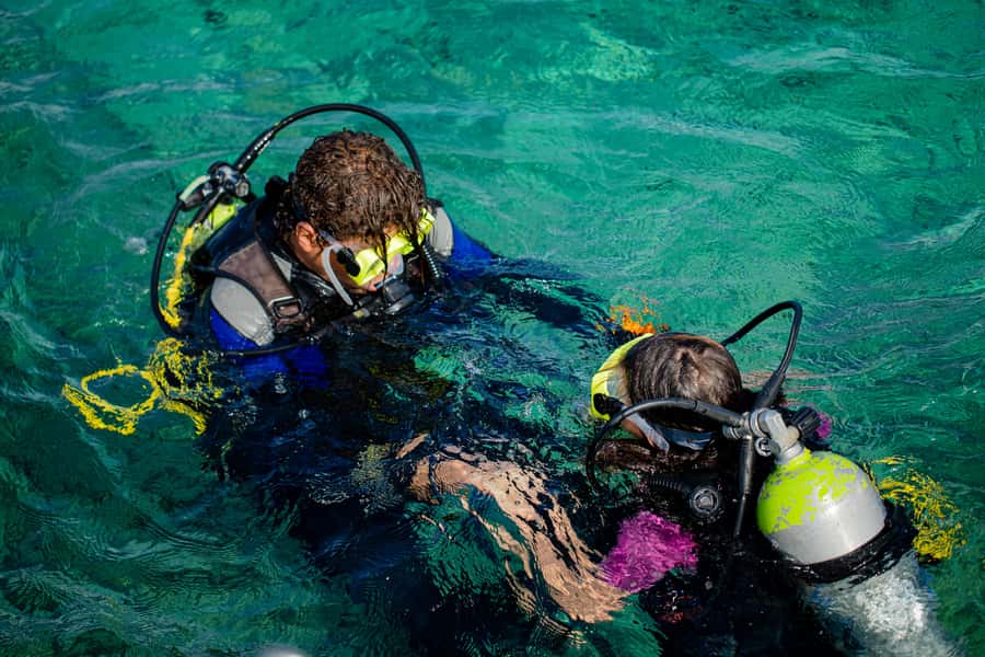 Hurghada: Full-Day Scuba Diving Tour with 2 Sites and Lunch - Is the $70 price good value?