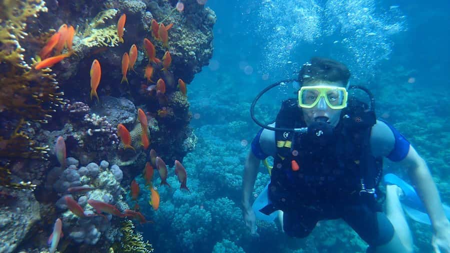 Hurghada: Full-Day Scuba Diving Tour with 2 Sites and Lunch - Hotel pickup and the Hurghada route