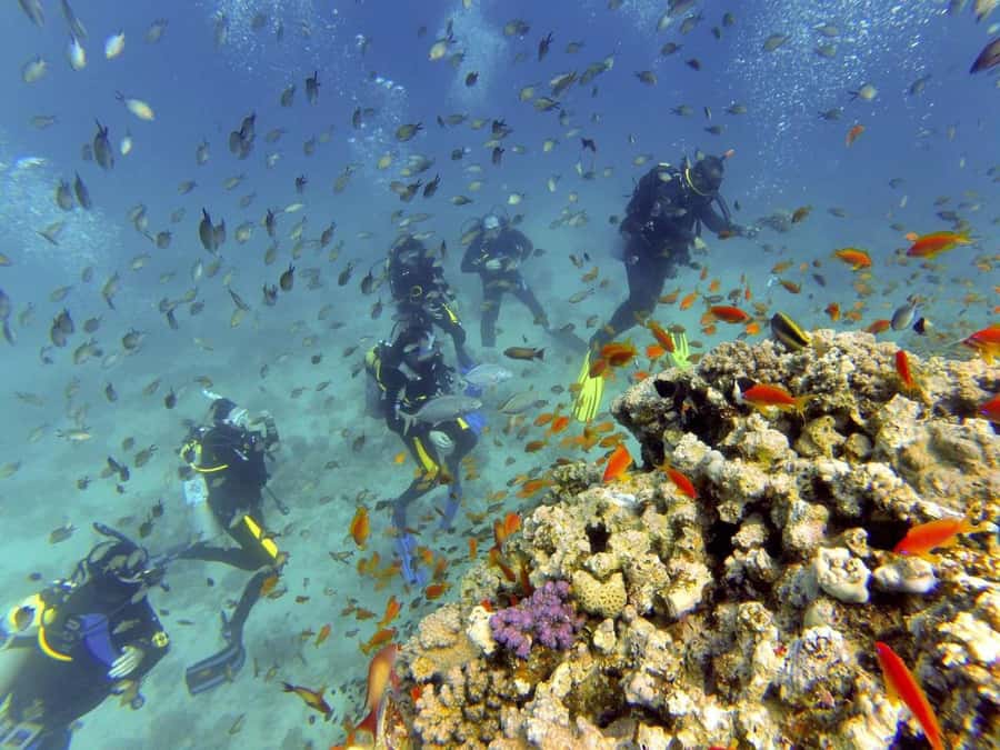 Hurghada: Full-Day Scuba Diving Tour with 2 Sites and Lunch - How the instructors affect the experience