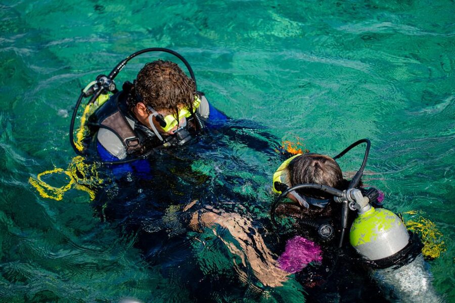 Hurghada: Full-Day Scuba Diving Tour with 2 Sites and Lunch - Who will enjoy this most