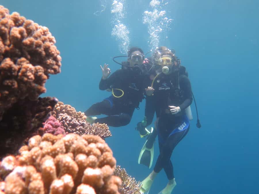 Hurghada: Full-Day Scuba Diving Tour with 2 Sites and Lunch - Starting with the briefing and equipment