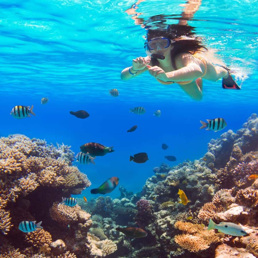 Hurghada:Luxury Diving & Snorkeling inc/Island/Lunch/Massage - Small Giftun and the first underwater session