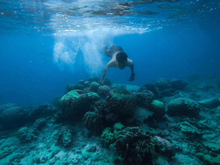 Hurghada:Luxury Diving & Snorkeling inc/Island/Lunch/Massage - From Hurghada to Orange Bay