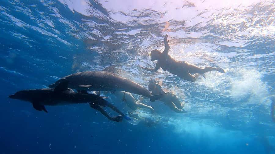 Hurghada: Orange Bay Snorkeling cruise and optional diving - Who will enjoy this cruise most