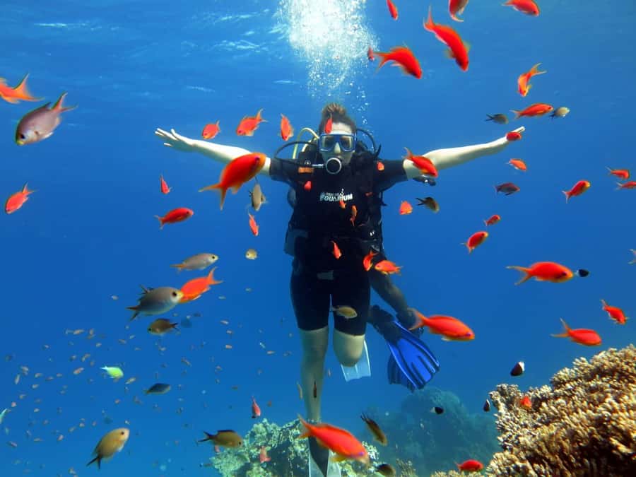 Hurghada: Orange Bay Snorkeling cruise and optional diving - Orange or Giftun Island for about 45 minutes