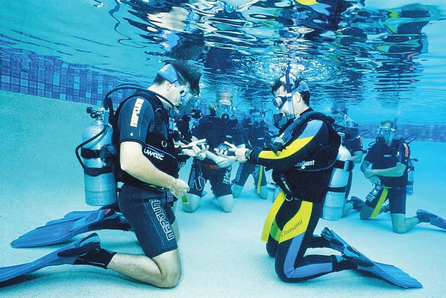 Hurghada: PADI Diving Courses packages - Lunch, snorkeling, and photo time