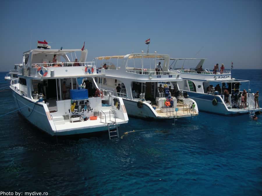 Hurghada, Professionals Diving in Open Water Tour with Lunch - Booking advice and final verdict