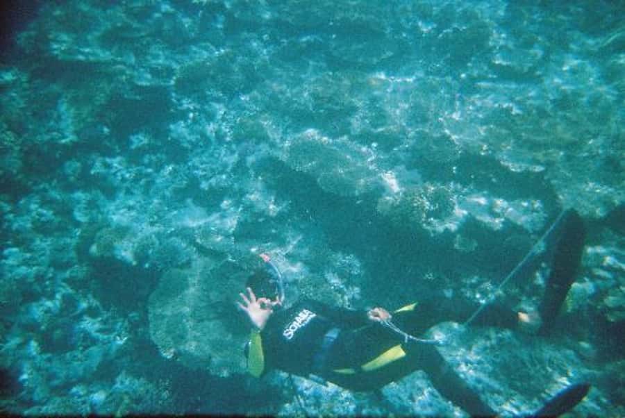 Hurghada, Professionals Diving in Open Water Tour with Lunch - Lunch, water, and a 45-minute break