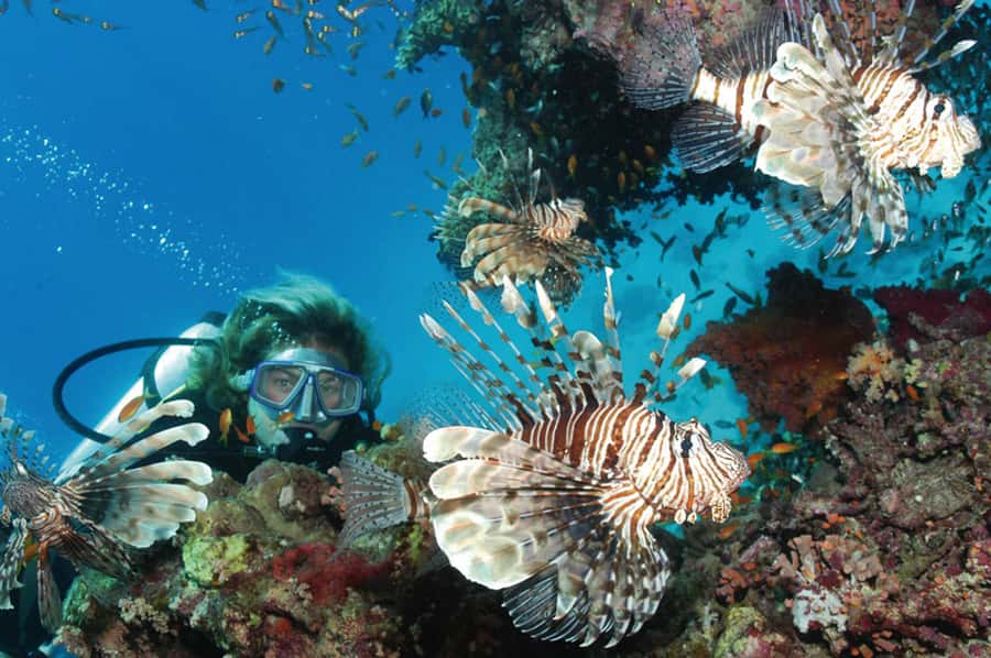 Hurghada, Professionals Diving in Open Water Tour with Lunch - The second 30-minute session at a new site