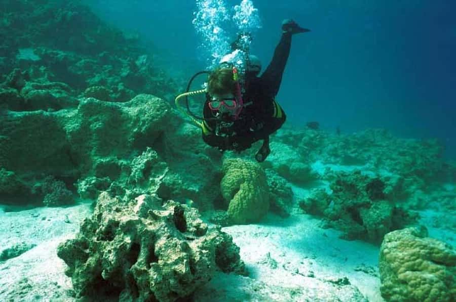Hurghada, Professionals Diving in Open Water Tour with Lunch - The first 35-minute underwater session