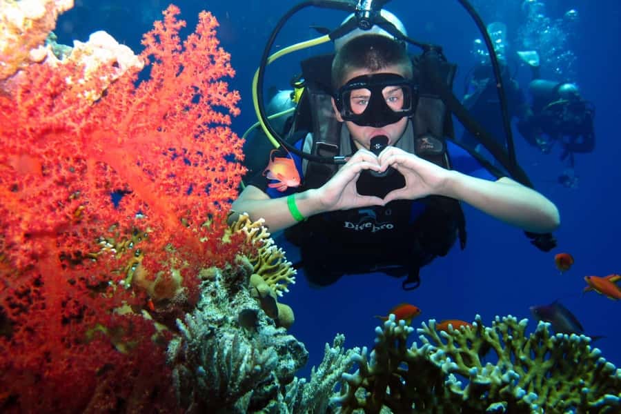 Hurghada: Scuba Diving cruise with lunch & pickup - Key points to know before booking