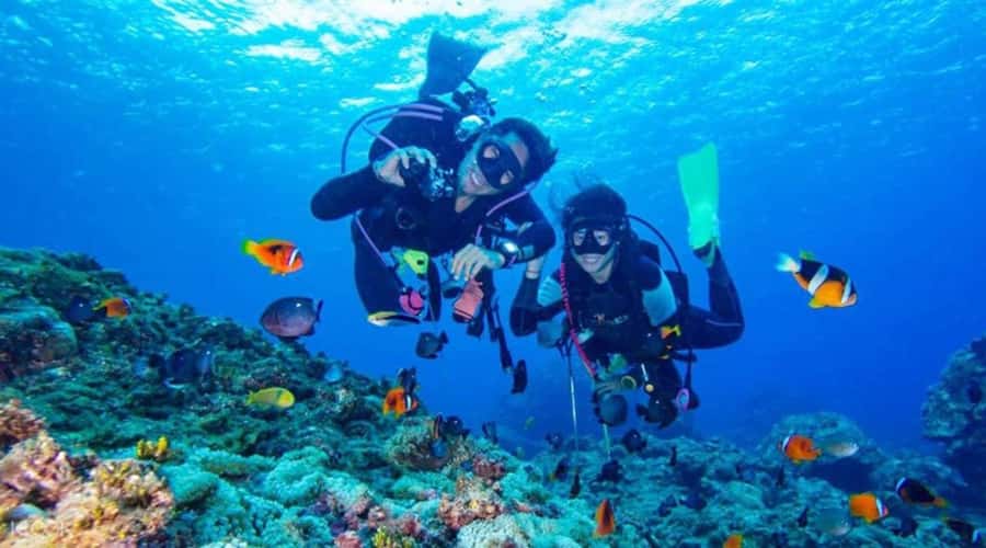 Hurghada: Scuba Diving cruise with lunch & pickup - Red Sea reefs within a six-hour Hurghada outing