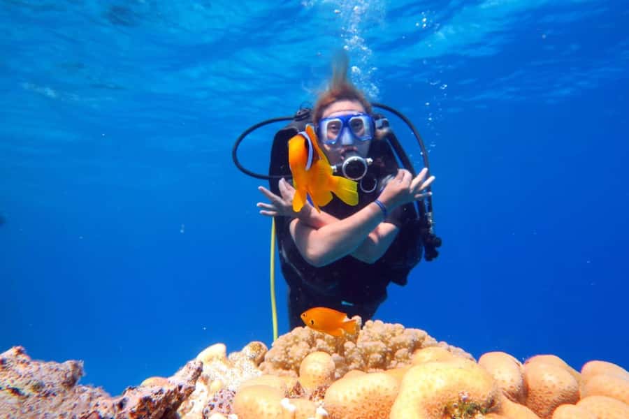 Hurghada: Scuba Diving cruise with lunch & pickup - Choosing between an introductory session and a longer session