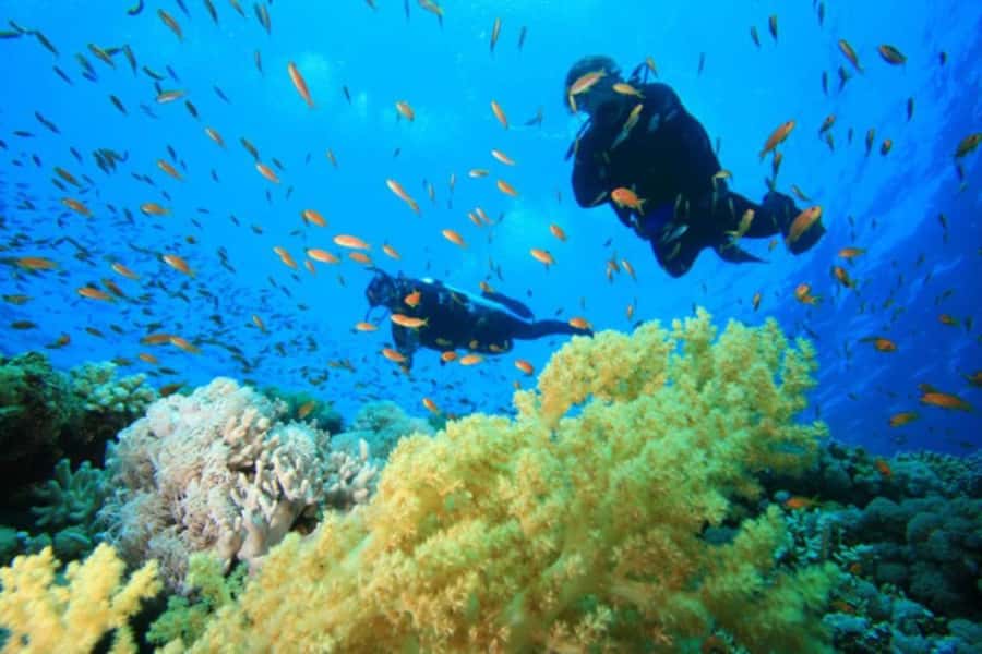 Hurghada: Scuba Diving cruise with lunch & pickup - The second reef stop and lunch
