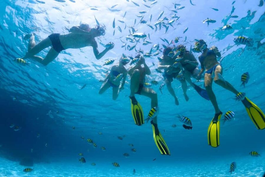 Hurghada: Scuba Diving for Beginners & Certified Divers - What your Hurghada sea day looks like