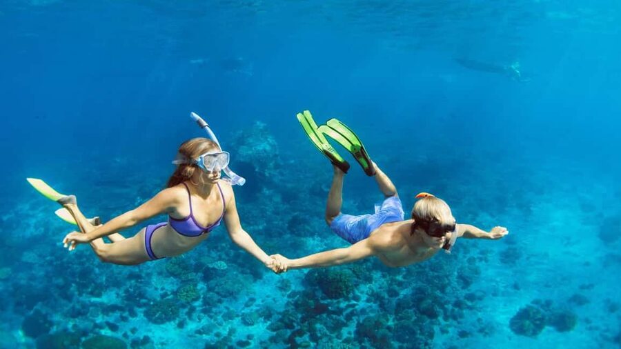 Hurghada: Scuba Diving for Beginners & Certified Divers - What certified participants should select