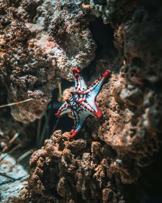 Hurghada: Scuba Diving for Beginners & Certified Divers - Life aboard the boat between sessions