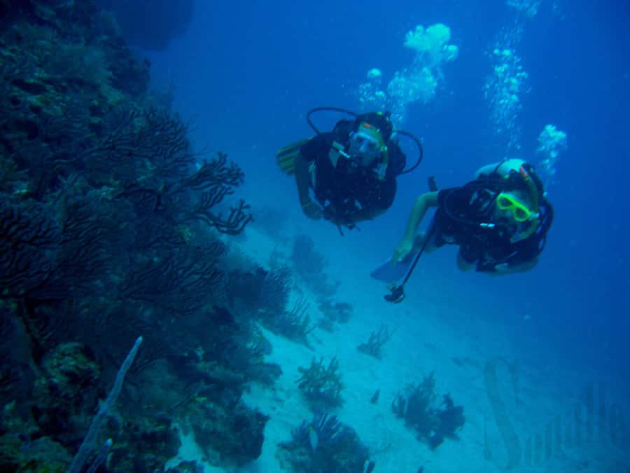 Hurghada Scuba Diving Trip with Pick-up, Lunch - Key points to know before booking