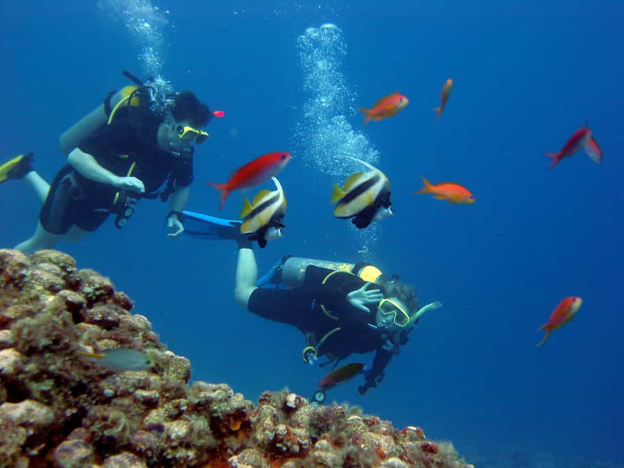 Hurghada Scuba Diving Trip with Pick-up, Lunch - Setting out from Hurghada for the Red Sea