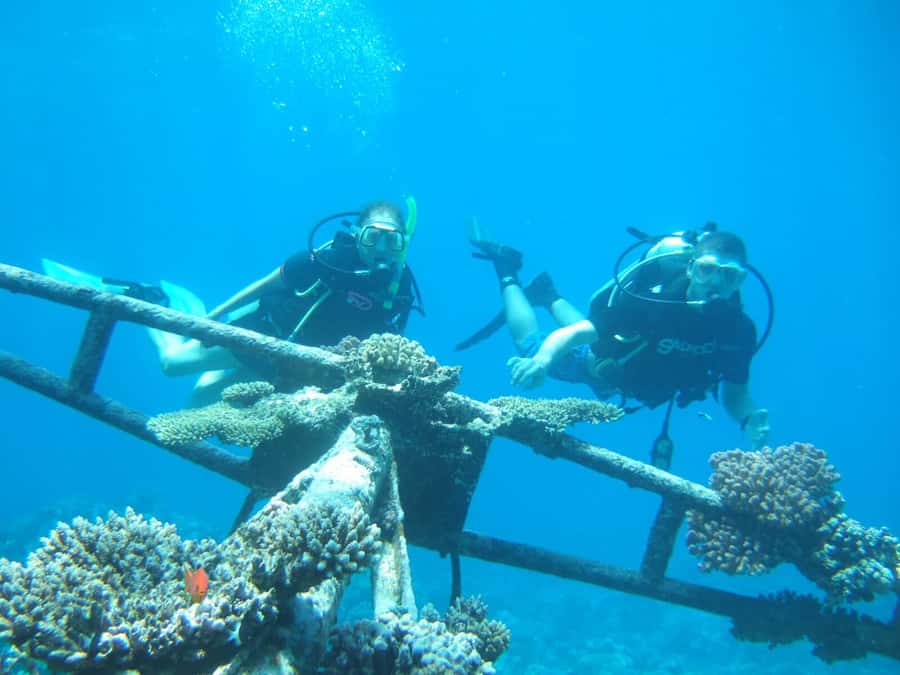 Hurghada Scuba Diving Trip with Pick-up, Lunch - What the $68 price really covers