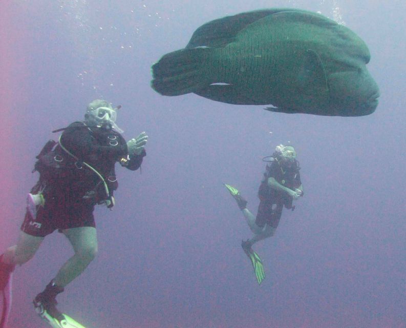 Hurghada Scuba Diving Trip with Pick-up, Lunch - Who will enjoy this Hurghada boat day